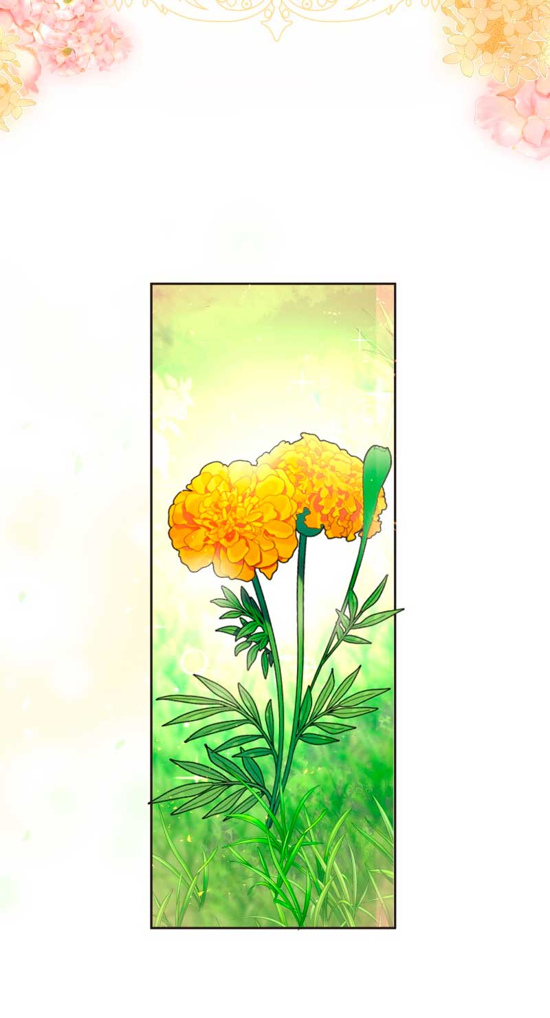 Desaparece Romeo Capítulo 2 - Página 4