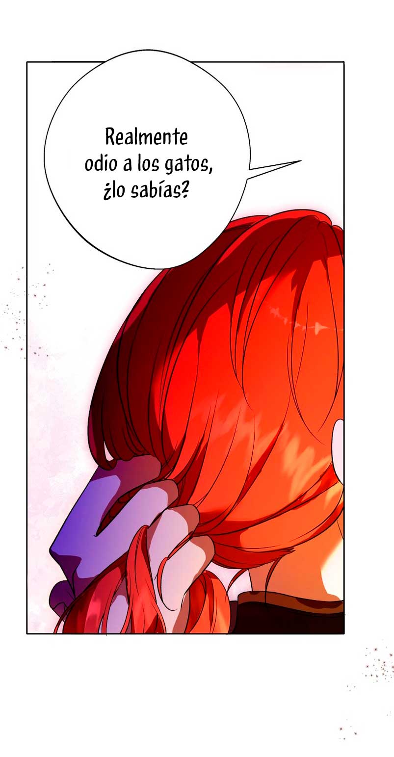 Desaparece Romeo Capítulo 21 - Página 14