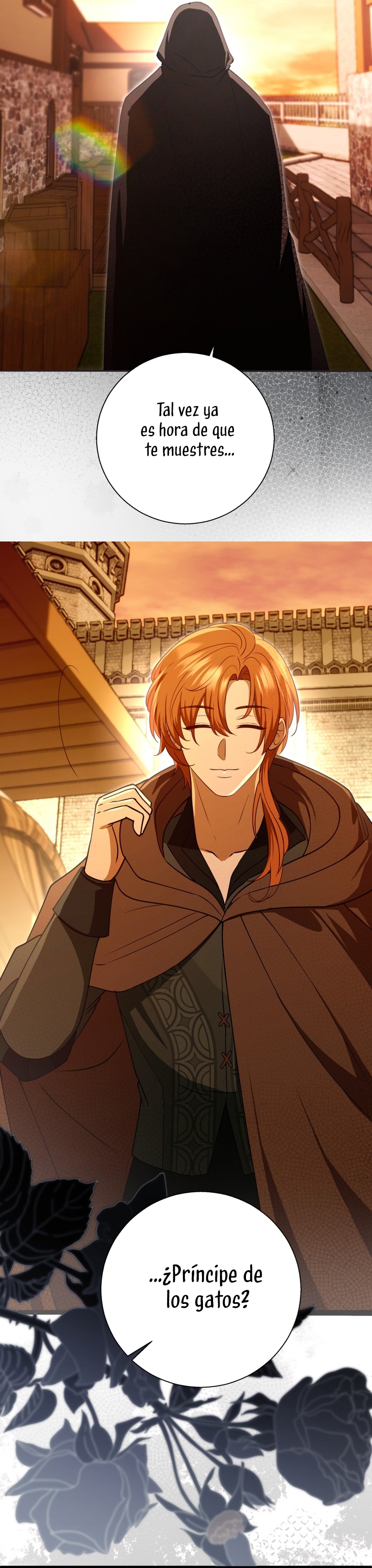 Desaparece Romeo Capítulo 81 - Página 29