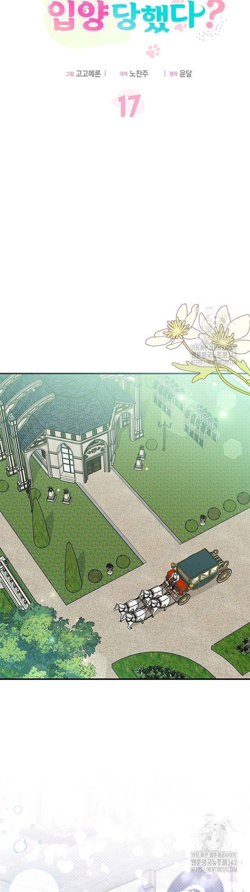 Soy un gato, pero… ¿fui adoptada por una familia de lobos? Capítulo 17 - Página 7