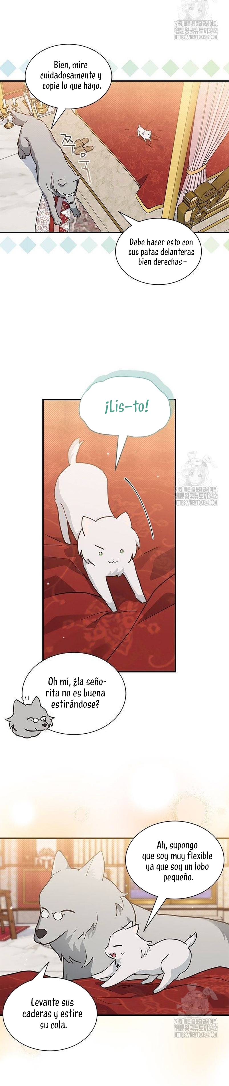 Soy un gato, pero… ¿fui adoptada por una familia de lobos? Capítulo 19 - Página 24