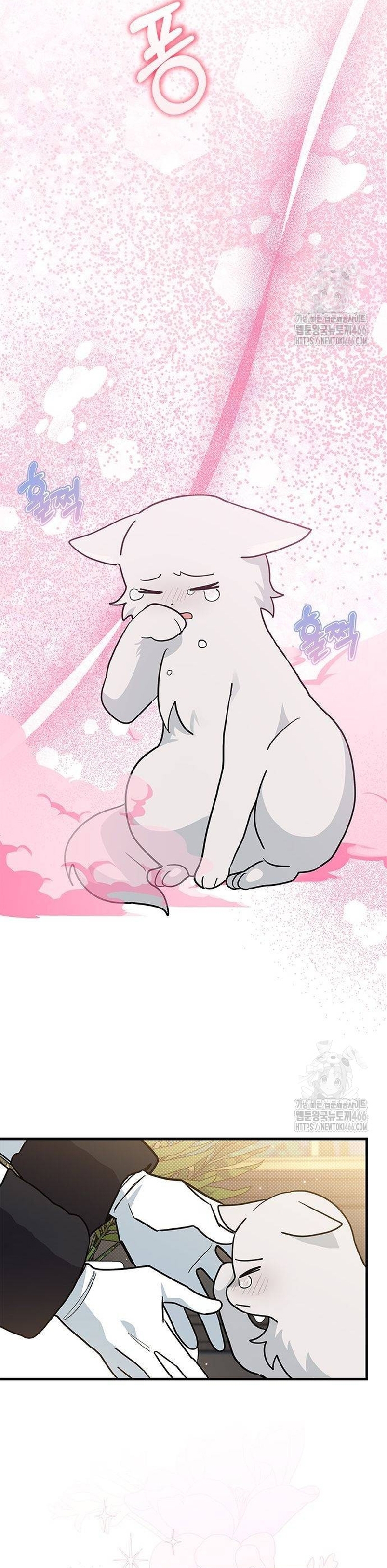 Soy un gato, pero… ¿fui adoptada por una familia de lobos? Capítulo 42 - Página 12