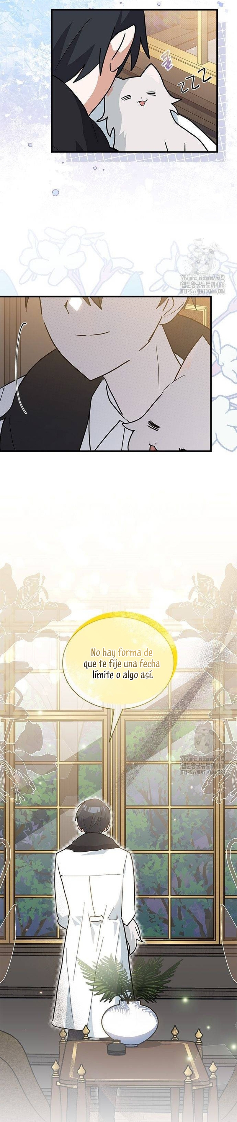 Soy un gato, pero… ¿fui adoptada por una familia de lobos? Capítulo 42 - Página 17