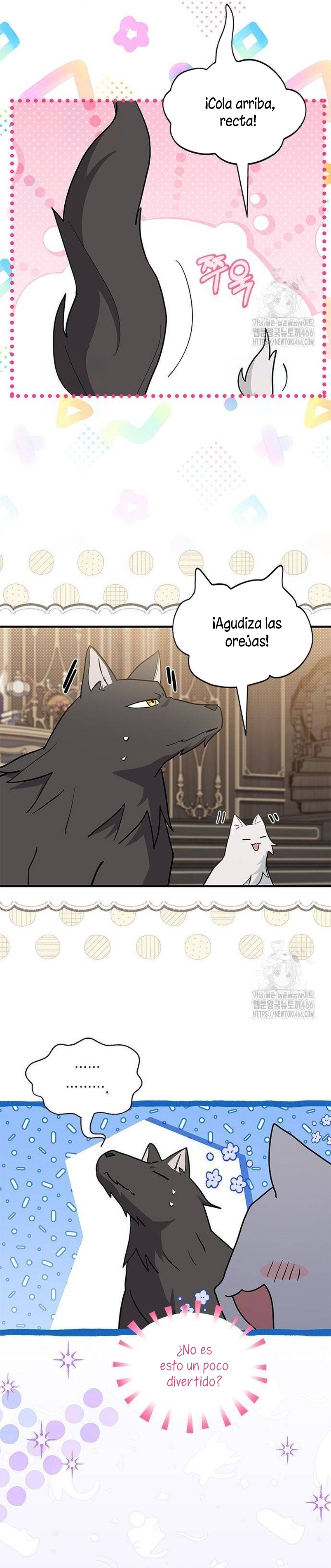 Soy un gato, pero… ¿fui adoptada por una familia de lobos? Capítulo 42 - Página 24