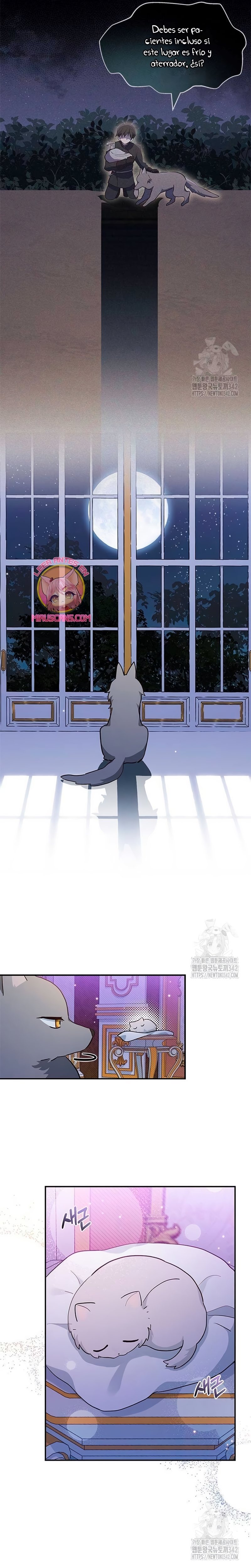 Soy un gato, pero… ¿fui adoptada por una familia de lobos? Capítulo 5 - Página 17