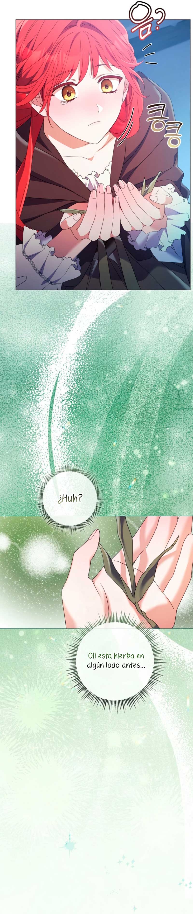 ¿Qué clase de divorcio es éste cuando ni siquiera me he casado, Su Majestad? Capítulo 45 - Página 25