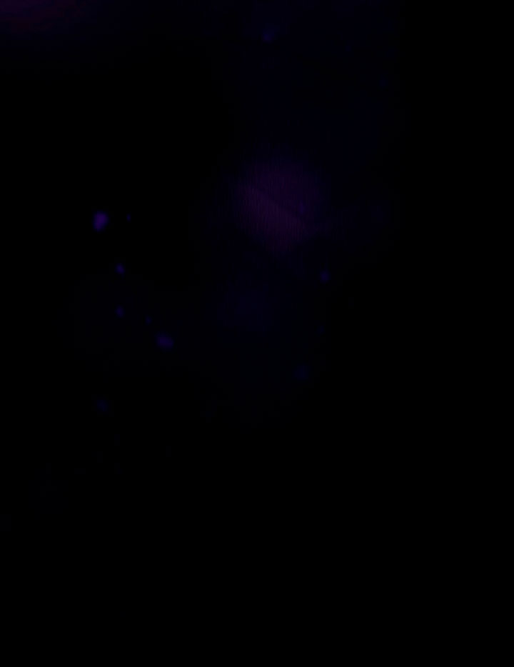 Estoy destinada a convertirme en la salvadora del protagonista Capítulo 2 - Página 62