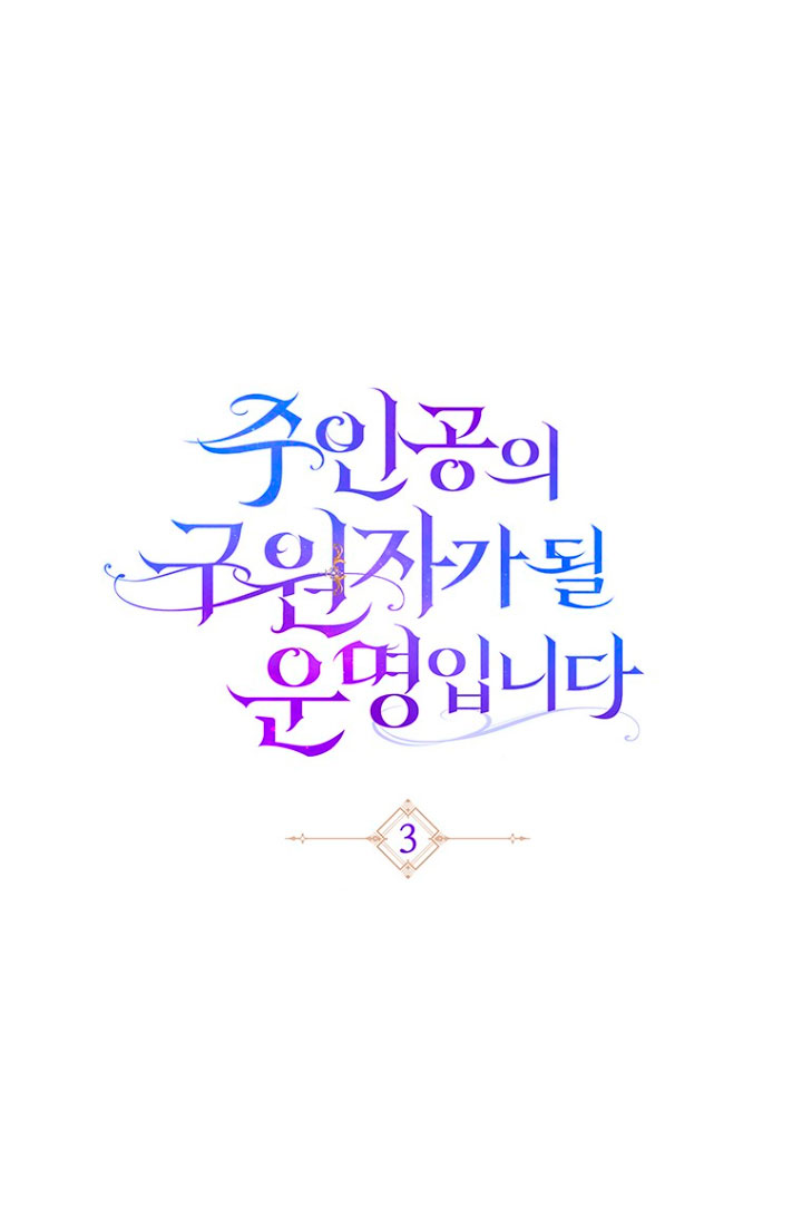 Estoy destinada a convertirme en la salvadora del protagonista Capítulo 3 - Página 14