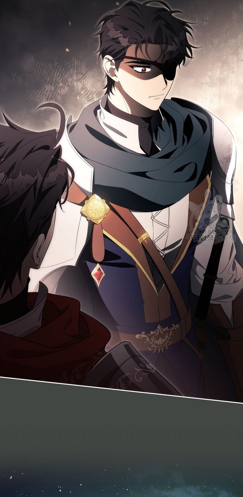 Estoy destinada a convertirme en la salvadora del protagonista Capítulo 90 - Página 11