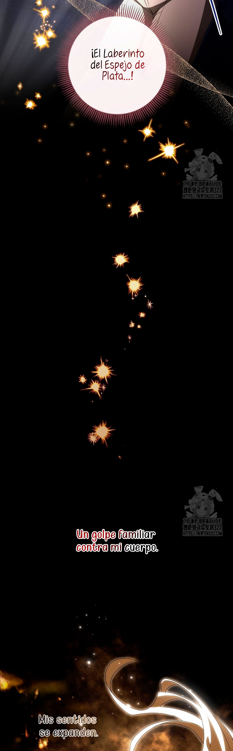 Estoy destinada a convertirme en la salvadora del protagonista Capítulo 96 - Página 10