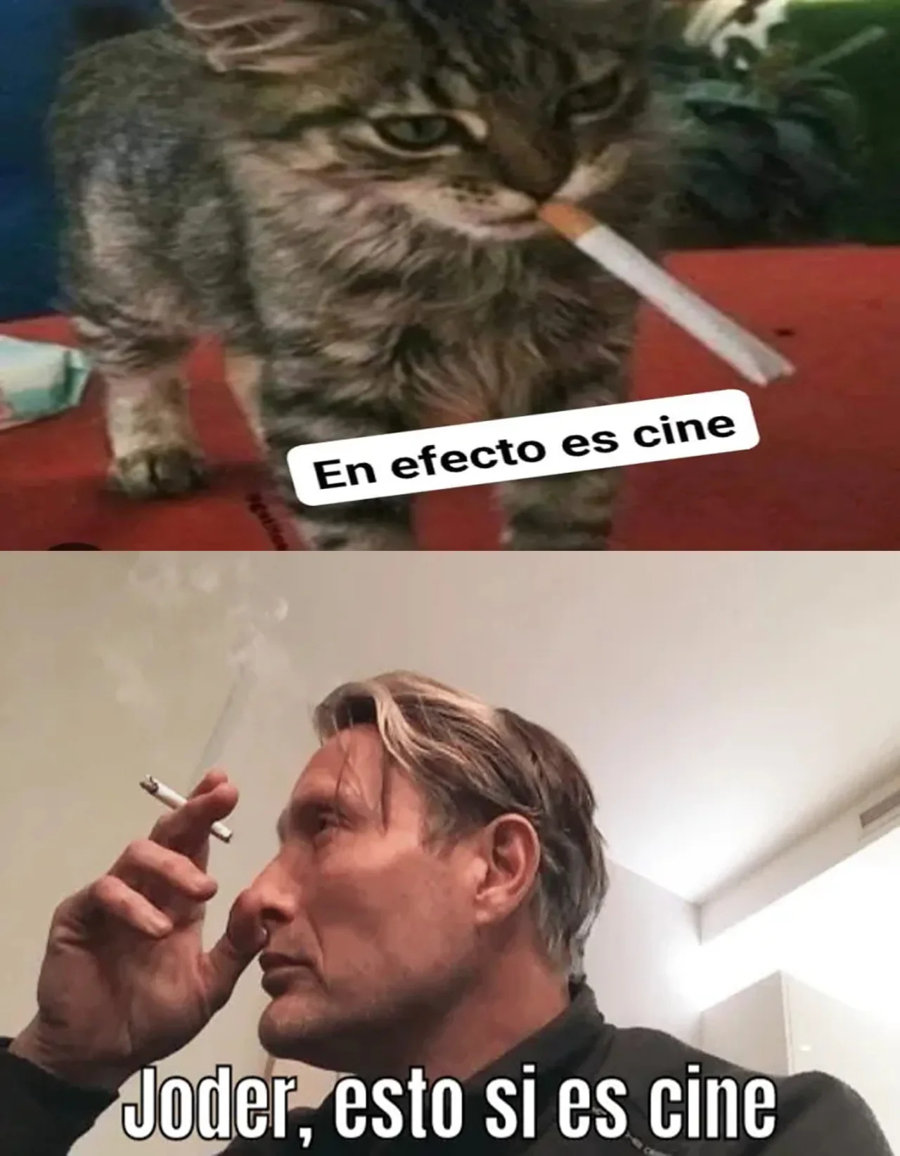 Parallel Paradise Capítulo 265 - Página 25