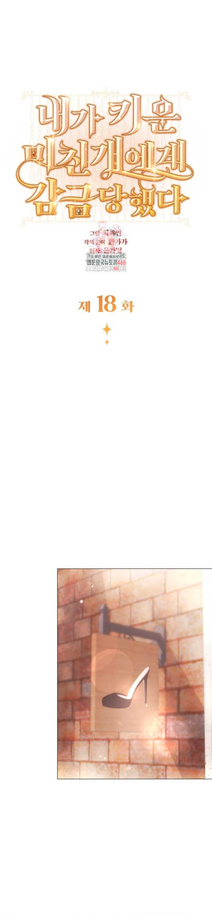 Fui encarcelada por el perro loco que crié Capítulo 18 - Página 3