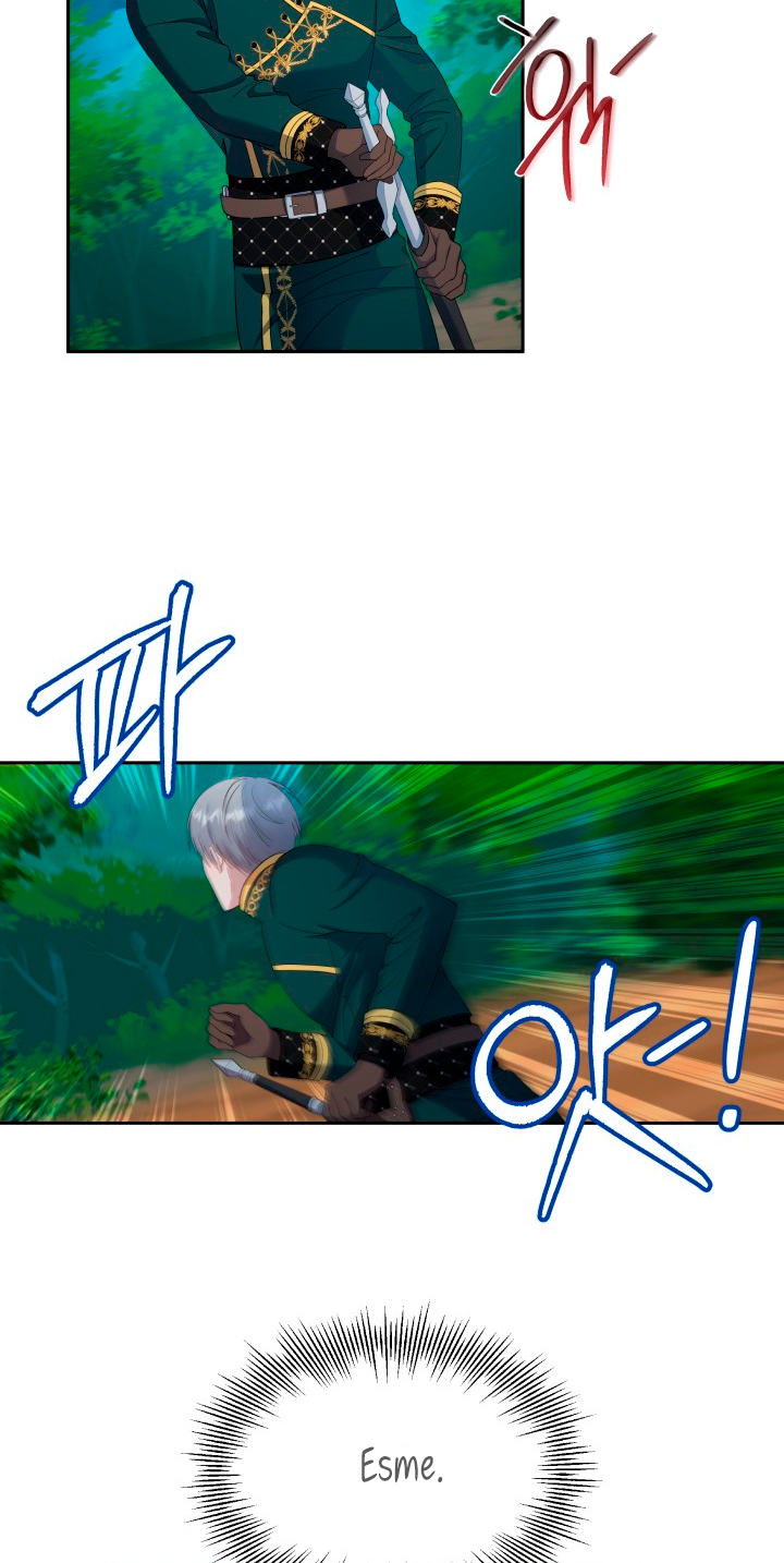 Cómo la joven condesa doma gentilmente al perro del emperador Capítulo 26 - Página 13