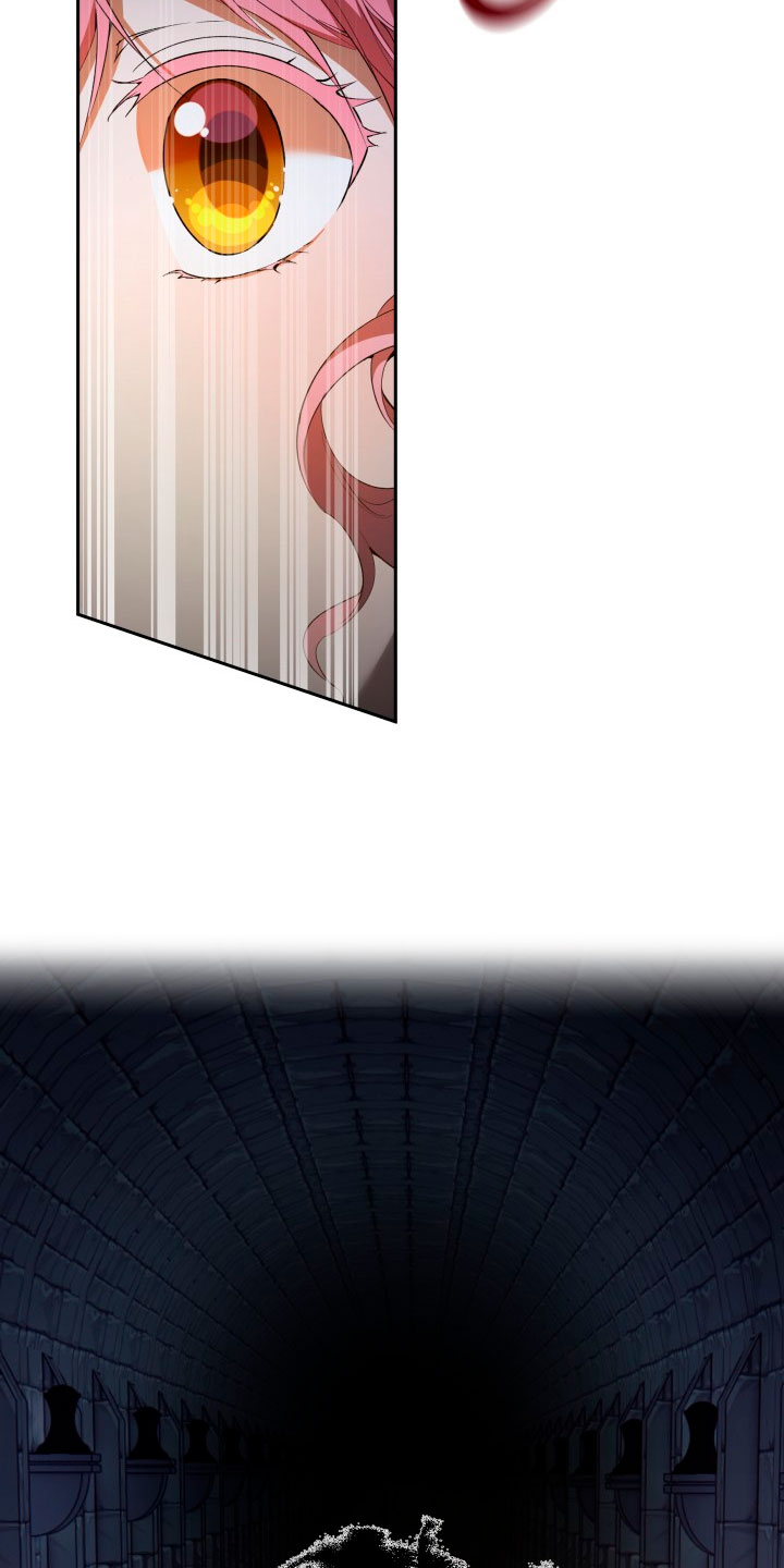 Cómo la joven condesa doma gentilmente al perro del emperador Capítulo 40 - Página 36