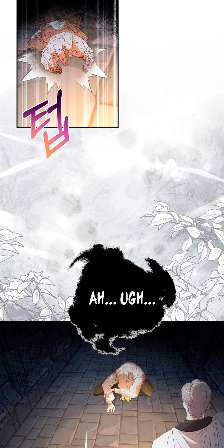 Cómo la joven condesa doma gentilmente al perro del emperador Capítulo 40 - Página 39