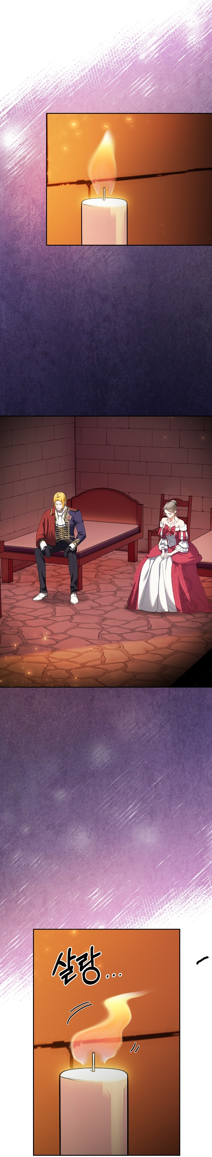 Cómo la joven condesa doma gentilmente al perro del emperador Capítulo 74 - Página 11