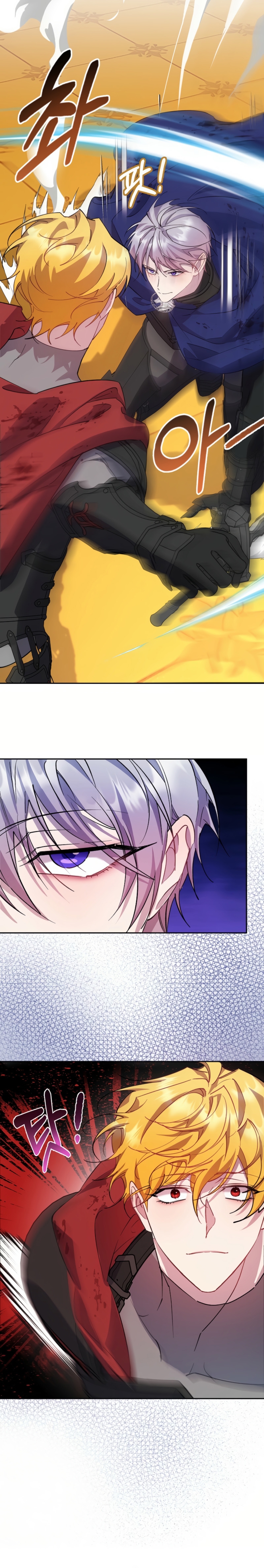 Cómo la joven condesa doma gentilmente al perro del emperador Capítulo 93 - Página 14