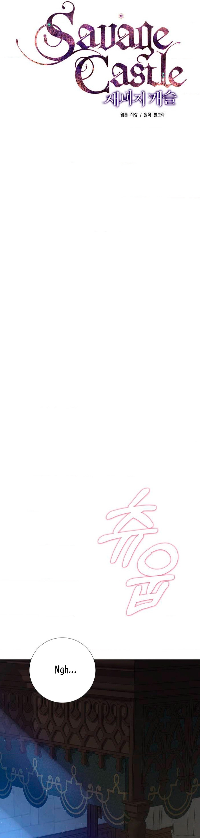 Castillo Salvaje Capítulo 1 - Página 13