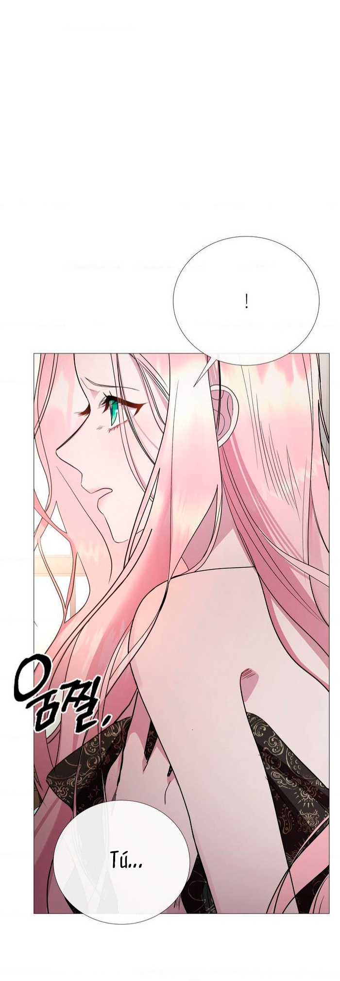 Castillo Salvaje Capítulo 2 - Página 11