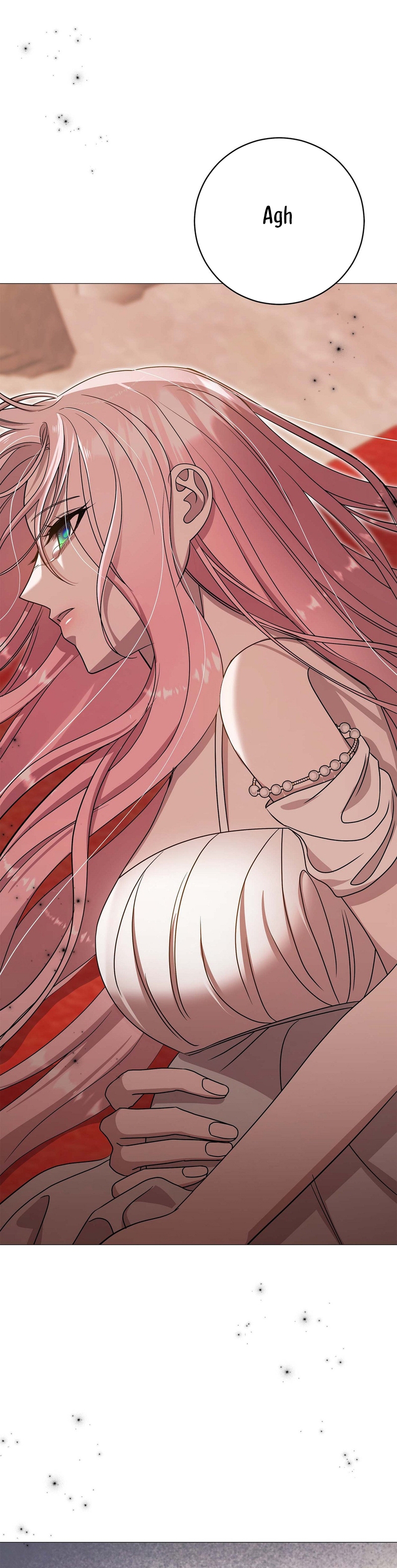 Castillo Salvaje Capítulo 26 - Página 28