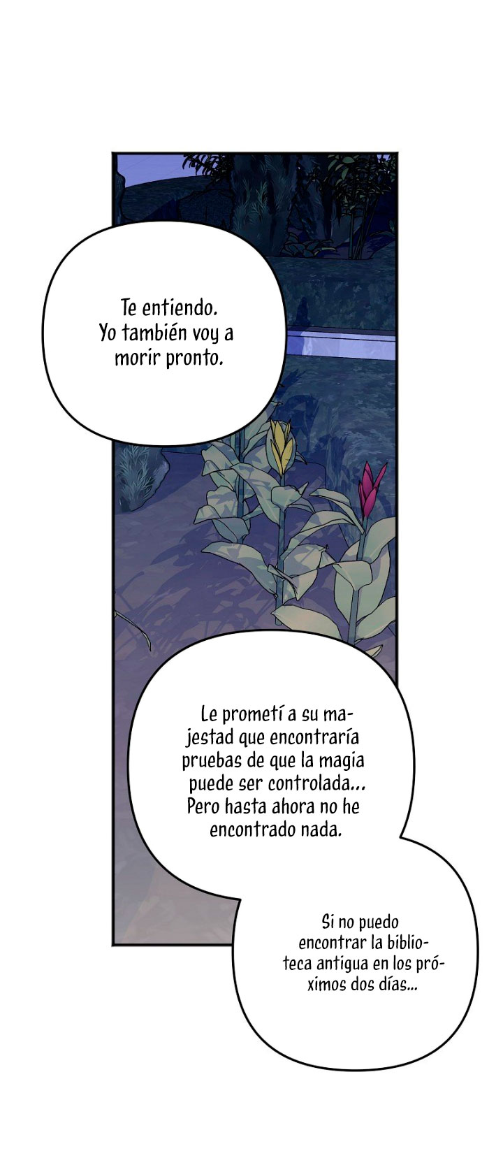 Sólo yo puedo hablar el antiguo lenguaje de la magia Capítulo 10 - Página 24