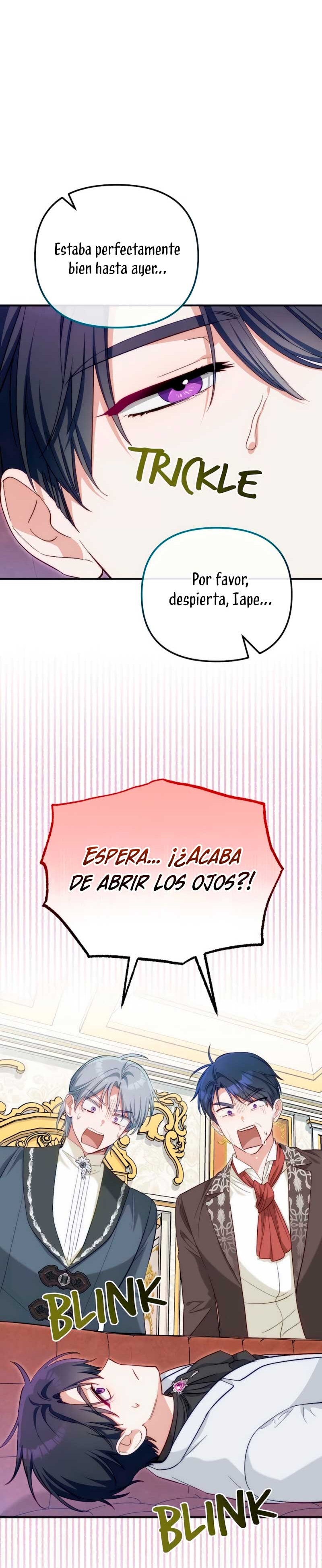 Sólo yo puedo hablar el antiguo lenguaje de la magia Capítulo 100 - Página 14