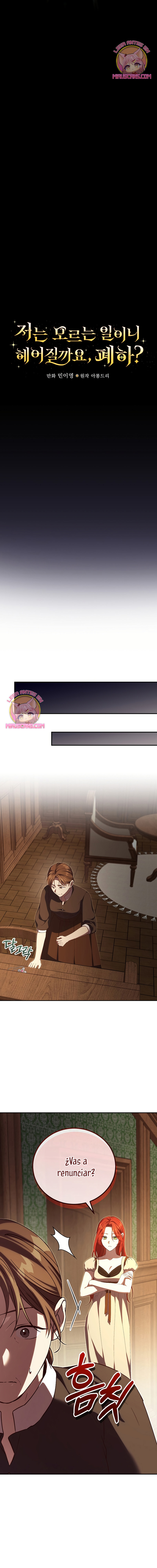 Como es algo que desconozco, ¿deberíamos separarnos, su majestad? Capítulo 45 - Página 17