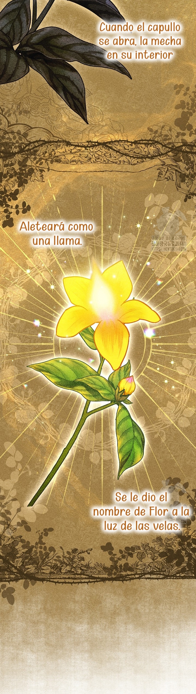 La pequeña señora es una vengadora Capítulo 36 - Página 5