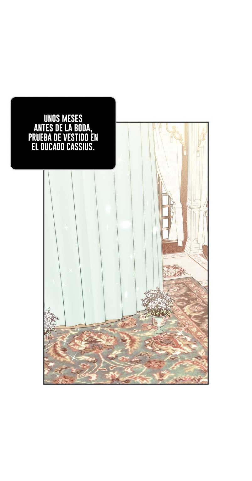 Me divorciaré del hermano Siscon de la protagonista femenina Capítulo 2 - Página 27