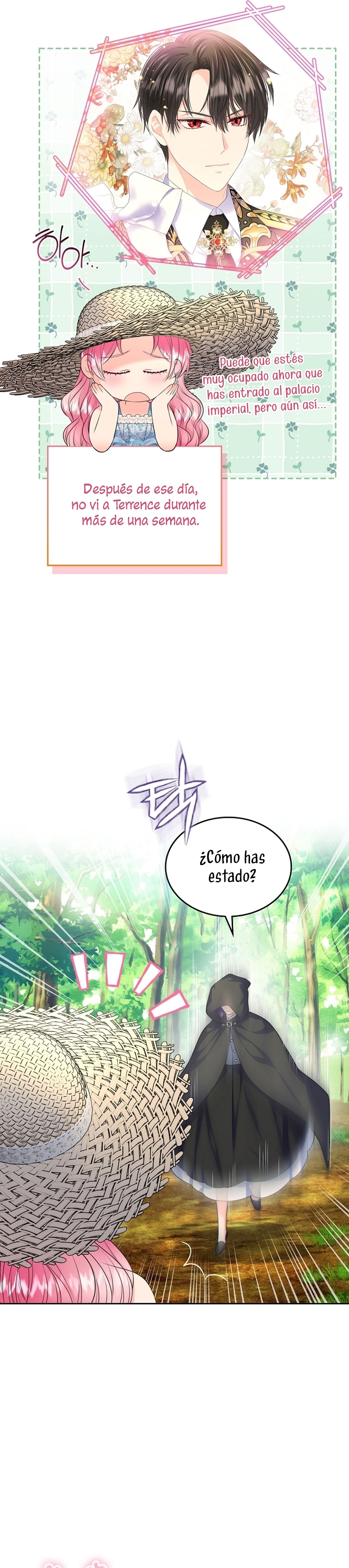 Me divorciaré del hermano Siscon de la protagonista femenina Capítulo 50 - Página 6