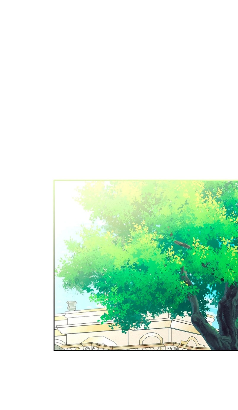 Me divorciaré del hermano Siscon de la protagonista femenina Capítulo 7 - Página 26