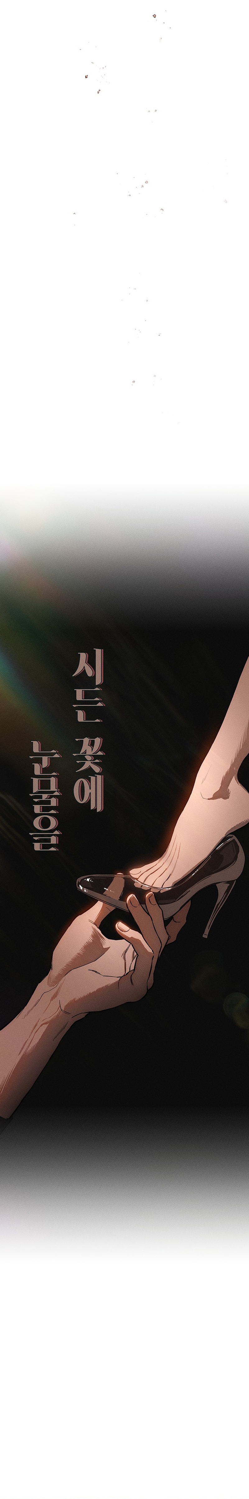 Lágrimas por una flor marchita Capítulo 10 - Página 27