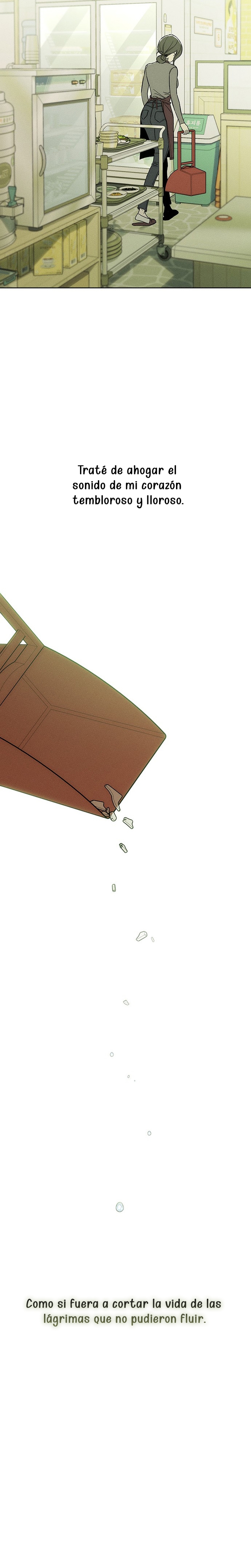 Lágrimas por una flor marchita Capítulo 12 - Página 14