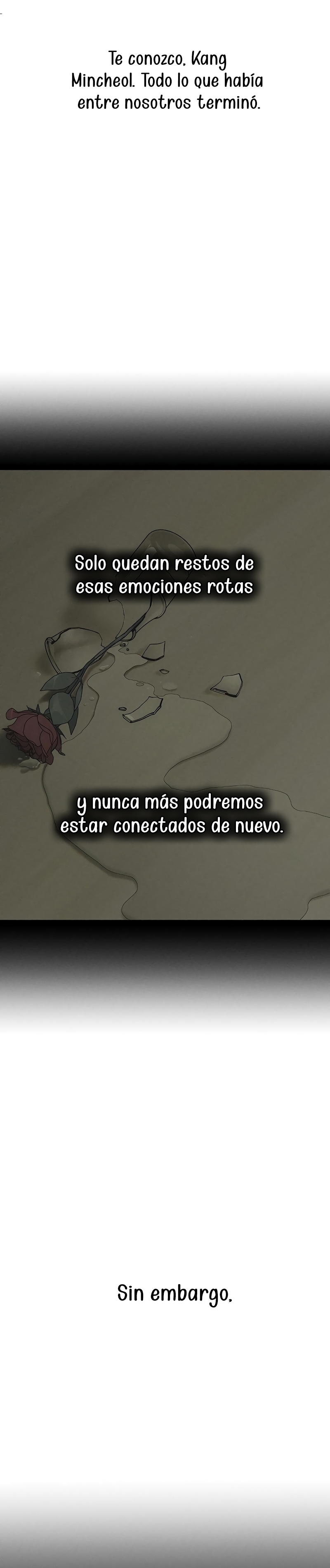 Lágrimas por una flor marchita Capítulo 20 - Página 12