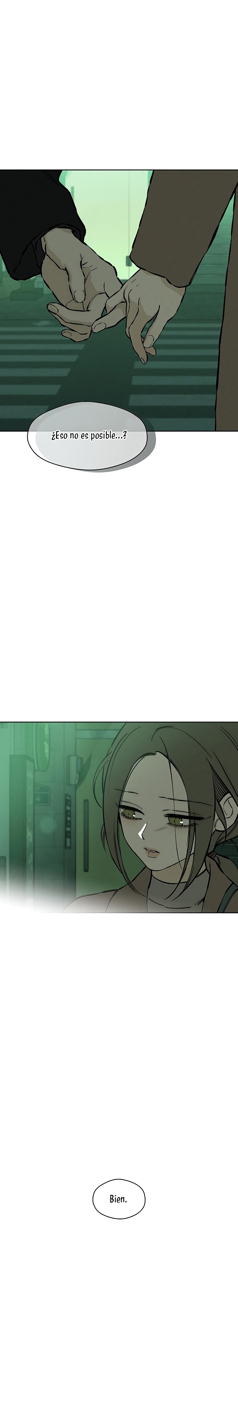 Lágrimas por una flor marchita Capítulo 24 - Página 29