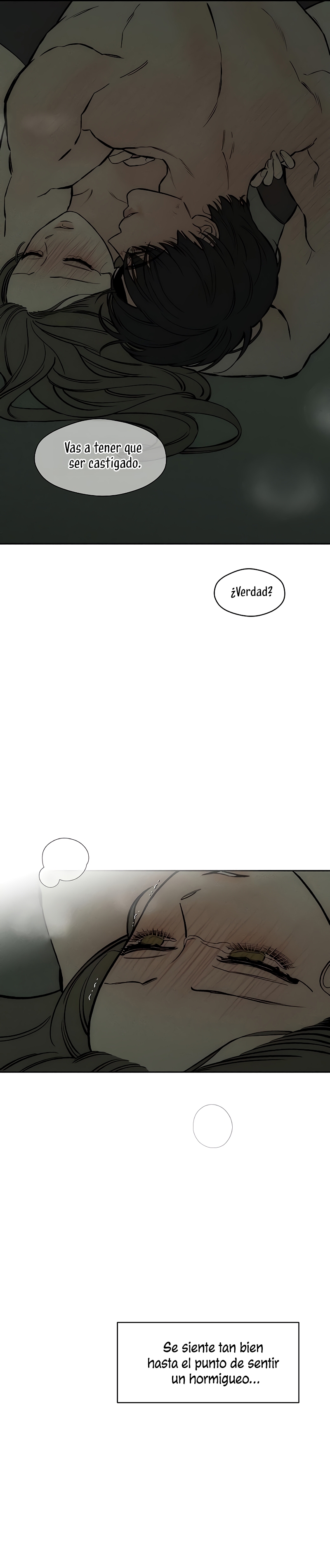 Lágrimas por una flor marchita Capítulo 39 - Página 17