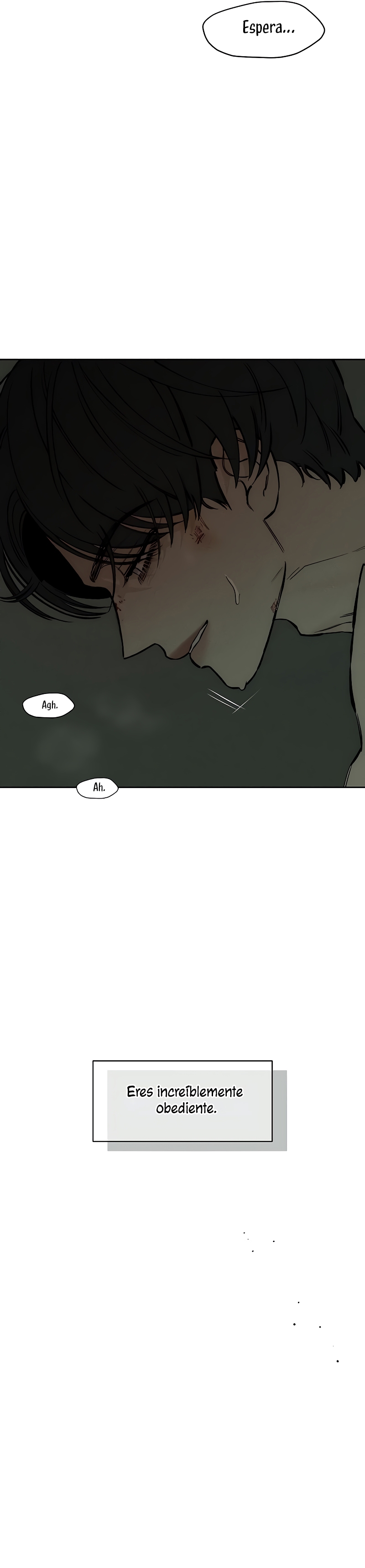 Lágrimas por una flor marchita Capítulo 39 - Página 9