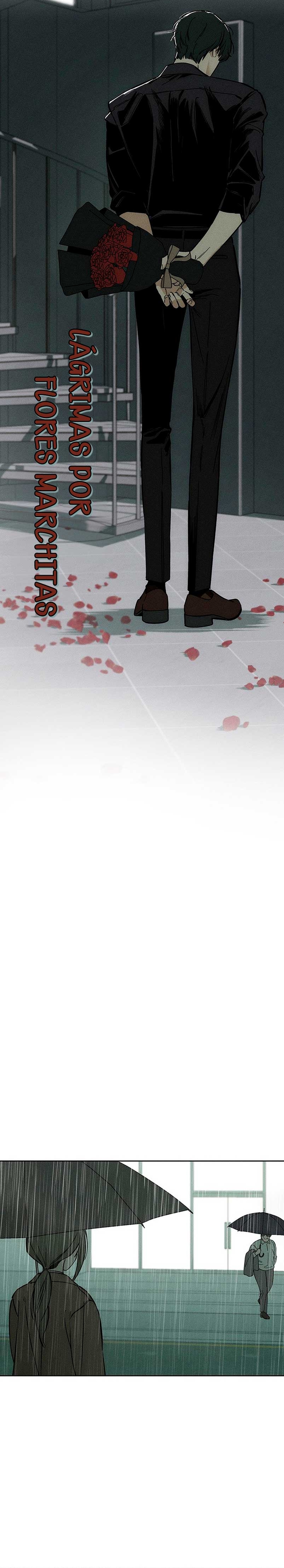 Lágrimas por una flor marchita Capítulo 5 - Página 29