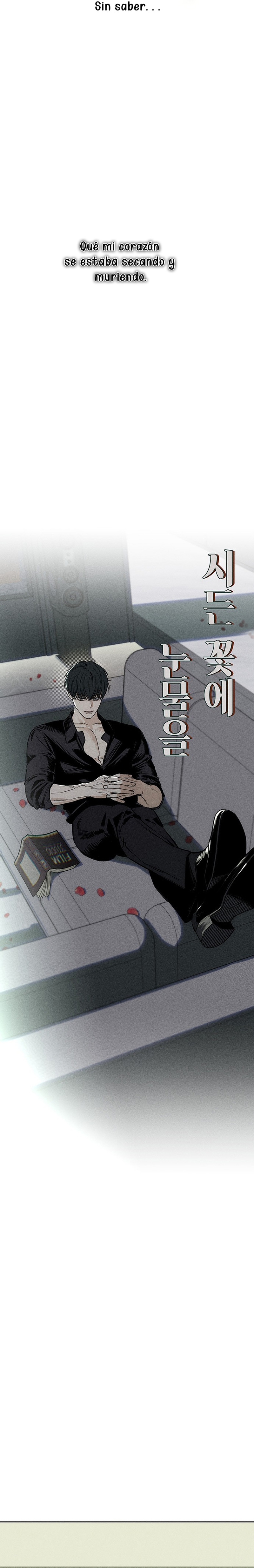Lágrimas por una flor marchita Capítulo 8 - Página 12