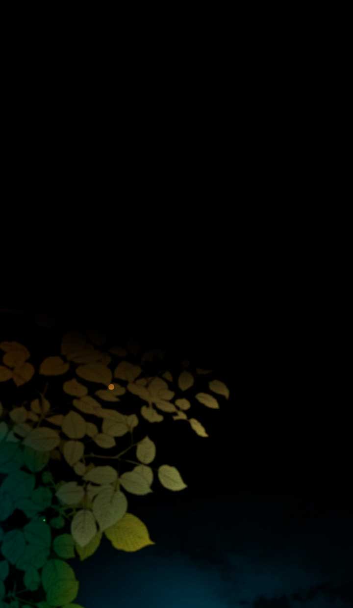 El príncipe problemático Capítulo 13 - Página 12