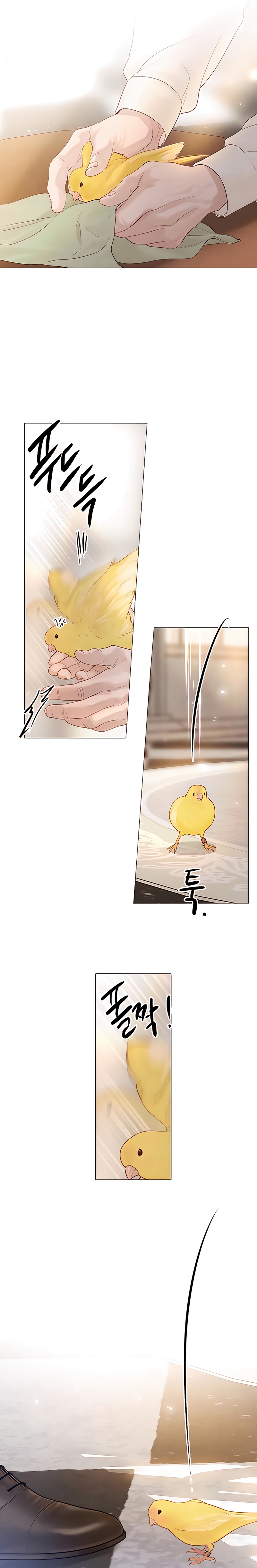 Llora, aunque es mejor si suplicas Capítulo 11 - Página 23