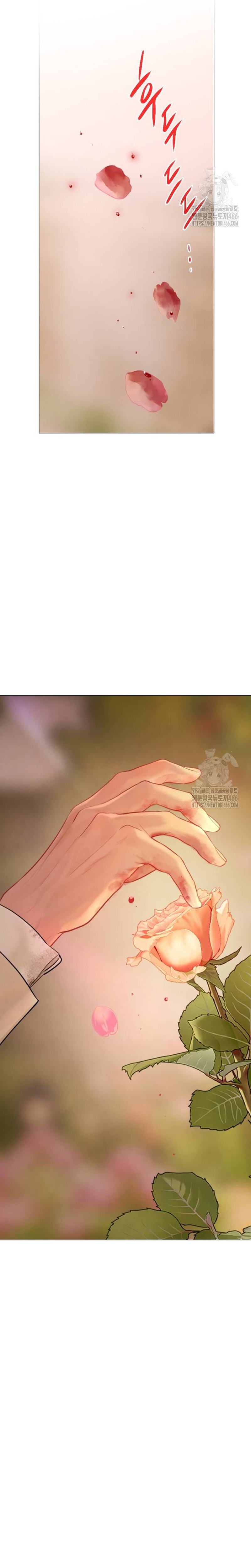 Llora, aunque es mejor si suplicas Capítulo 34 - Página 12