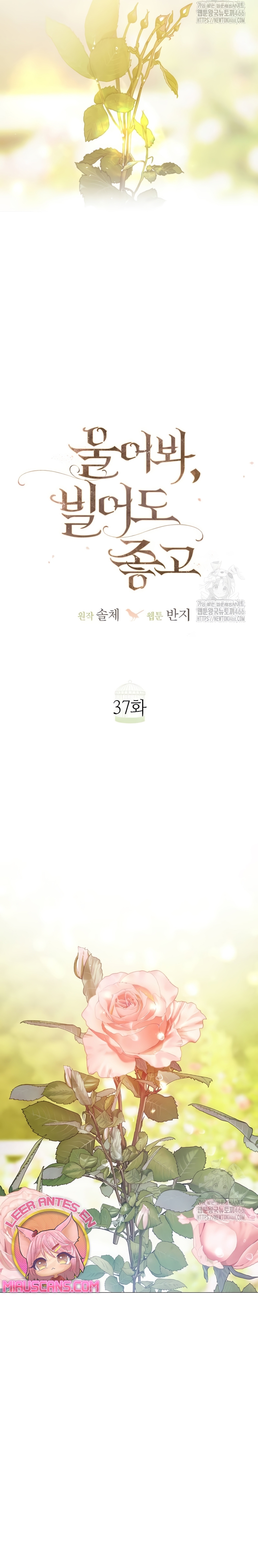 Llora, aunque es mejor si suplicas Capítulo 37 - Página 13