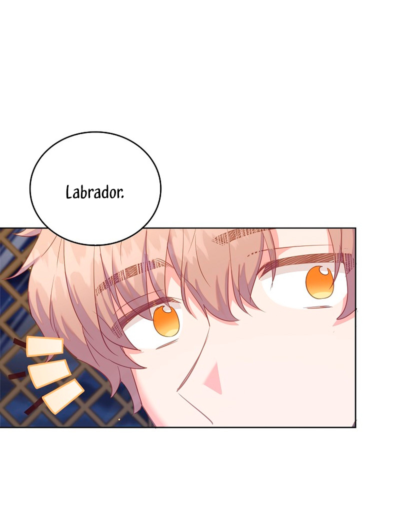 Me di cuenta después de haberte perdido Capítulo 52 - Página 12