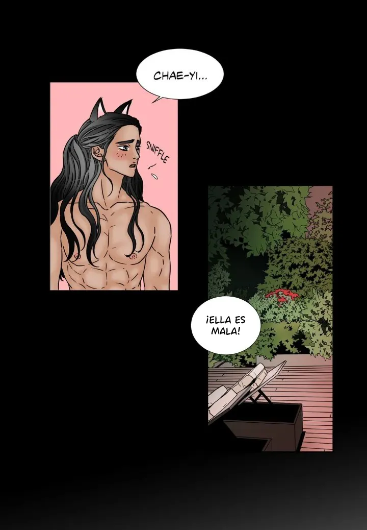 Chae-yi y su harem Capítulo 43 - Página 13