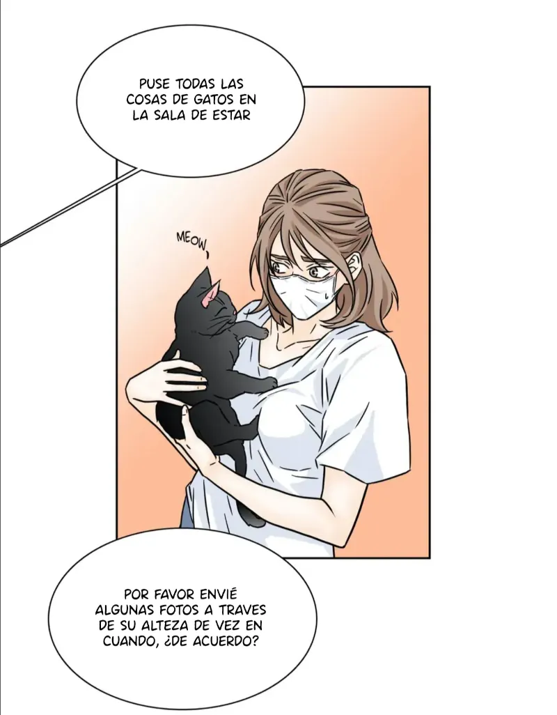 Chae-yi y su harem Capítulo 73 - Página 29