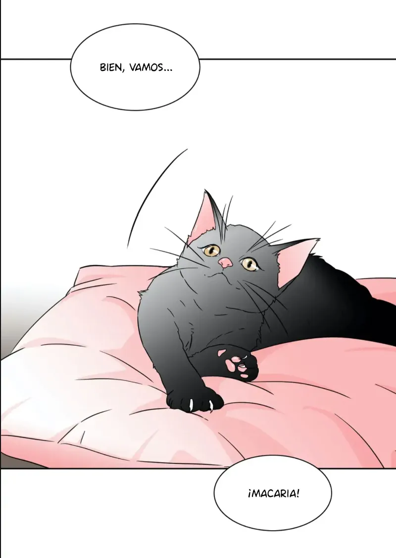 Chae-yi y su harem Capítulo 73 - Página 39