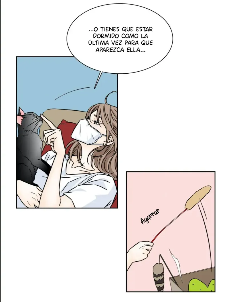 Chae-yi y su harem Capítulo 73 - Página 46