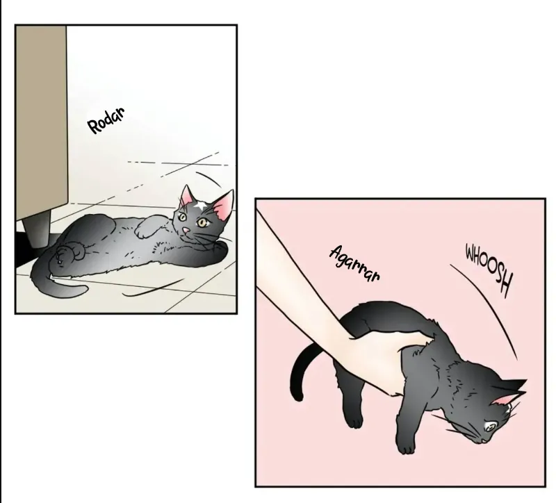 Chae-yi y su harem Capítulo 73 - Página 52