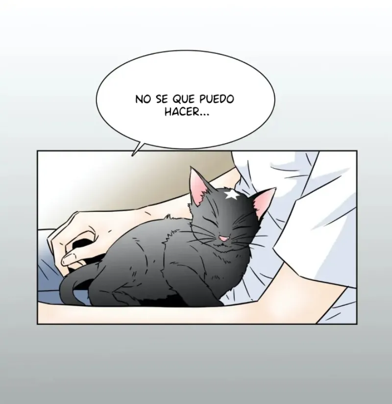 Chae-yi y su harem Capítulo 74 - Página 40